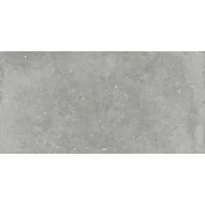 Flaviker PI.SA Nordik Stone PF60004832 Ash Ret 60x120