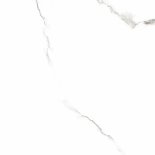 Lasselsberger (LB-Ceramics) Inei 6461-0411 Белый 60x60 - керамическая плитка и керамогранит