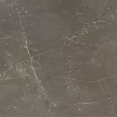Panaria Trilogy PGWTY40 Sky Smoke Lux Rect 60x60