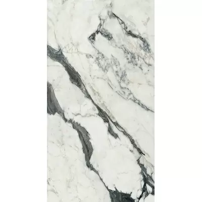 Rex Ceramiche Les Bijoux de Rex 766086 Calatta Altis.Bla. Matte Ret 80x180