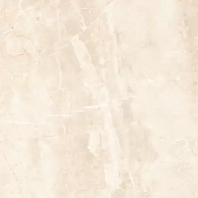 Leopard Rock Crema 60x60