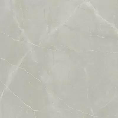 Porcelanite Dos 1804 Perla Rectificado Pulido 98x98