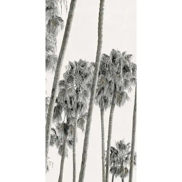 ABK Wide & Style 0009393 Hollywood B 120x280