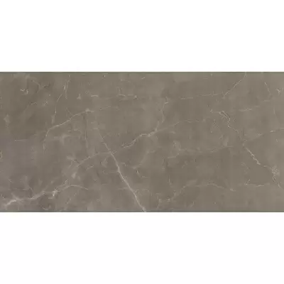 Casalgrande Padana Marmosmart 12450211 Tortora Smart Lucido 45x90