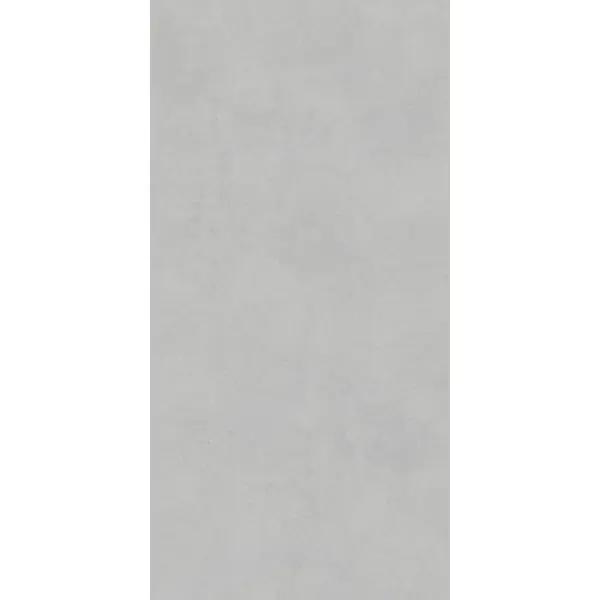 Lasselsberger (LB-Ceramics) Иней Техно 6493-0198 Бетон серый 60x120 - керамическая плитка и керамогранит