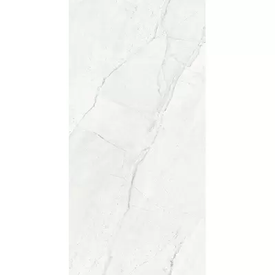 Alpas Euro Premium Marble Orisis White Carving 6 mm 60x120