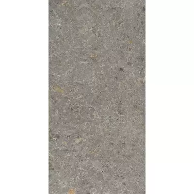 Inalco Meteora 6 Gris Bush-hammered 250 100x250