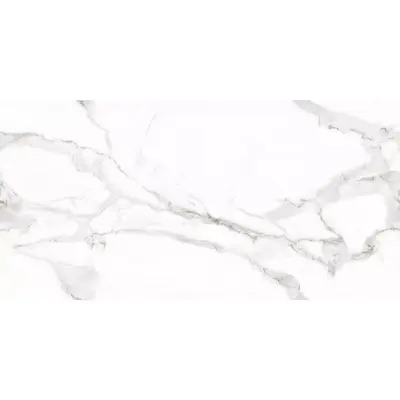 Art Ceramic Venato Bianco Glossy 60x120