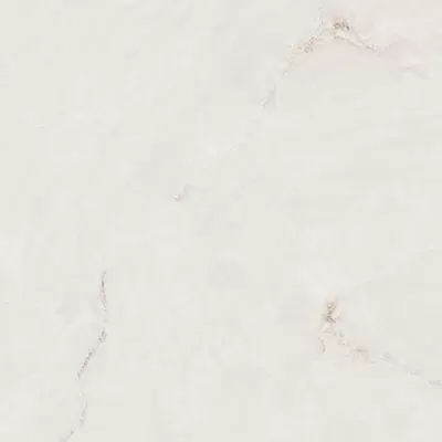 Absolut Gres Profitland Bianco Polished 60x60