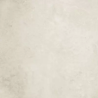 Apavisa Evolution 8431940222542 White Natural 59.55x59.55