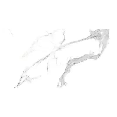 Infinity Ceramic Tiles Velo Bianco Polished 60x120