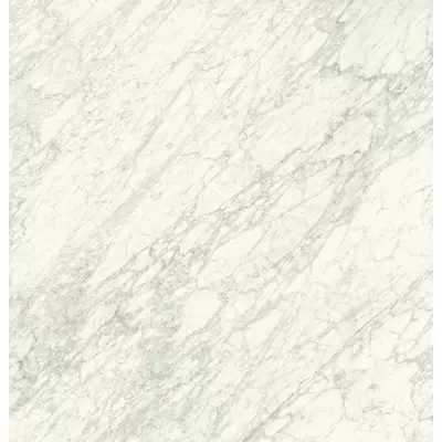 Caesar Anima Ever AFBE Supreme White Luc Ret 120x120