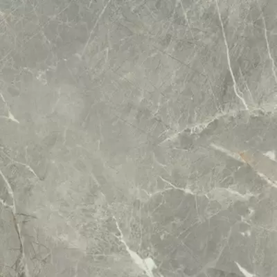 Porcelanite Dos 9520 0005050340200R001 Rect. Gris 50x50