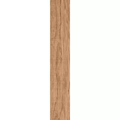 Gres de Aragon Ordesa 905161 Base Marron Lisco 19.5x120