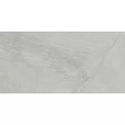 Ariostea Marmi Classici Gris De Savoi Soft 60x120