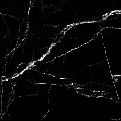 Staro Oasis Fossil Slate High Glossy 60x60