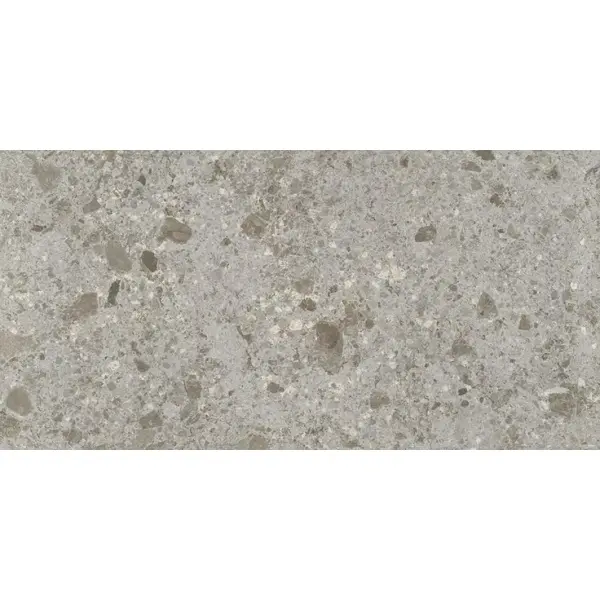Ariostea Fragmenta P150618 Grigio Luminoso Natural Plus 10mm 75x150