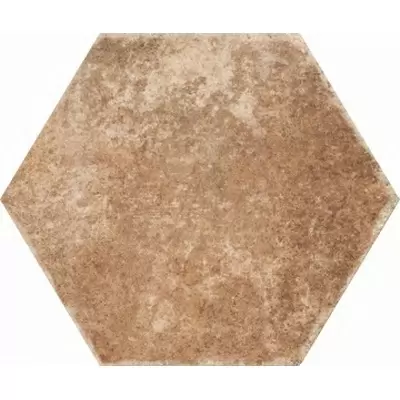 Monopole Ceramica Pompeia Marron 20x24