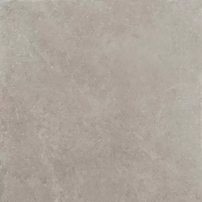 Panaria Prime Stone PGWPMS2 Silver Strutturato 60x60
