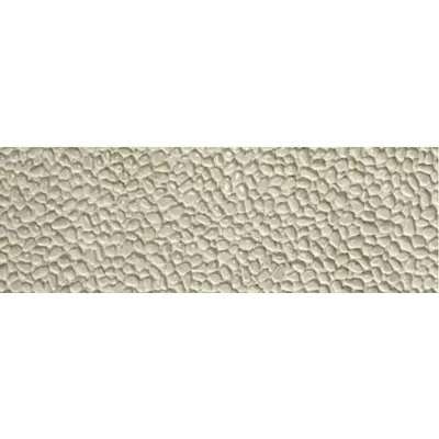 Settecento Sarawak Reef Ivory 24x72
