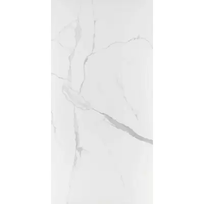 Fakhar Calcatta White Glo 60x120