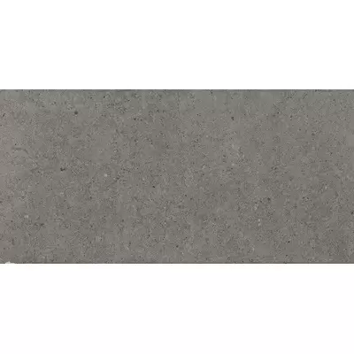 Apavisa Nanoconcept 8431940288739 Anthracite Natural 44.63x89.46
