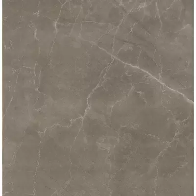 Casalgrande Padana Marmosmart 12440211 Tortora Smart Lucido 90x90