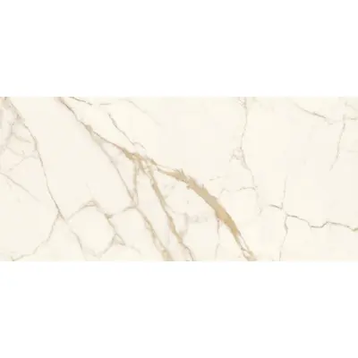 Stone Calacatta SLC.DL.CLO.TH 120x260