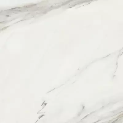 Dune Calacatta Superwhite Satin Rec 60x60