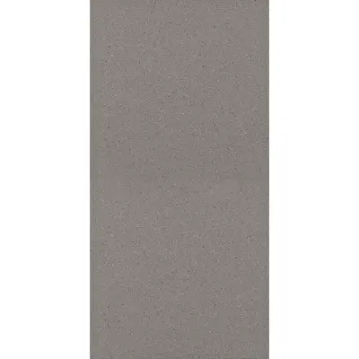 Grupa Paradyz Bazo Grys Gres Sol-Pieprz Rekt 29,8x59,8