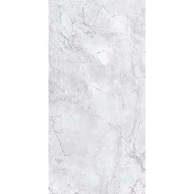 Tau ceramica Bahia Silver Polished Mix 160x320