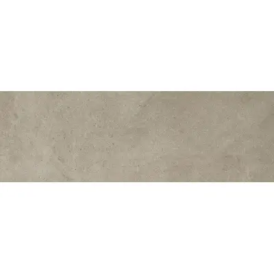 Stone The Room Via Tornabuoni Silk Cement 100x300