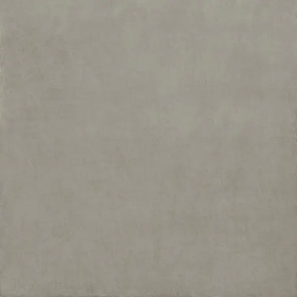 Ariostea Balance IGP66569 Dark Grey Natural Plus 60x60