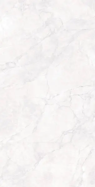 Arcadia Ceramica Arctic CR9018-A White Carving 60x120