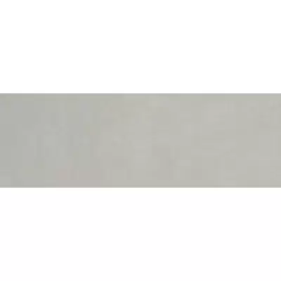 Panaria Experience PG7EX25 Grigio Vivo 100x300
