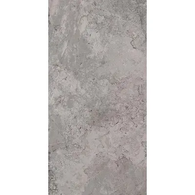 Pamesa Erding 017.869.0161.00714 Grey 60x120