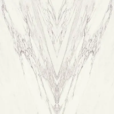 Stone Calacatta SLC.DL.VBNA.LG BOOK 120x260