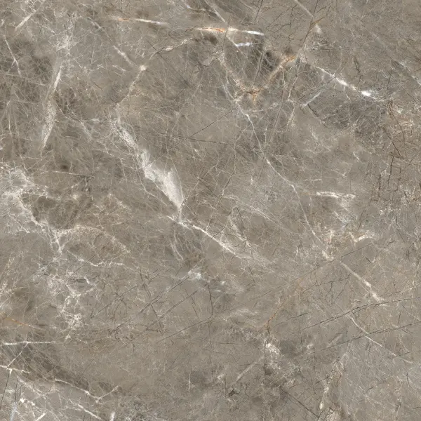 Primavera Royce R_PR1023 Olympia Grey Polished 60x60