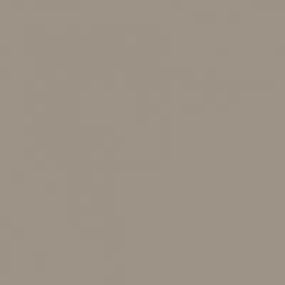 Rako Color One WAA1N302 Серая 20x20