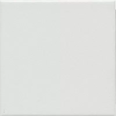 Kerama Marazzi Агуста 1332S Белый Натуральный 9.8x9.8