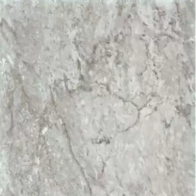 Fmg Marmi Classici Grigio Carnico 40x40