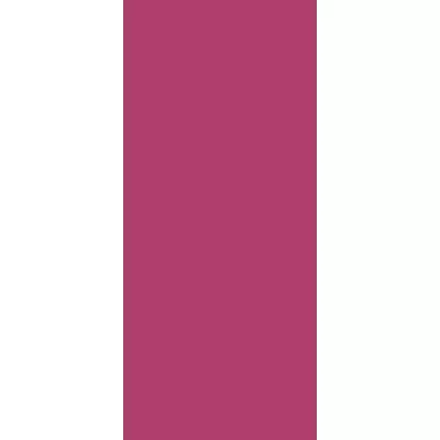 Floor Gres Buildtech 2.0 766855 Fuchsia Nat 6mm Ret 120x280