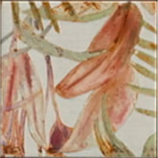 Mainzu Mahon Bangkok 15 15x15 - керамическая плитка и керамогранит