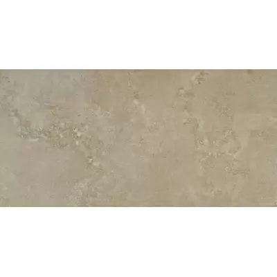 Apavisa Evolution 8431940189180 Vison Natural 59.55x119.3