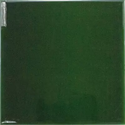 Equipe Evolution 22464 Victorian Green 15x15