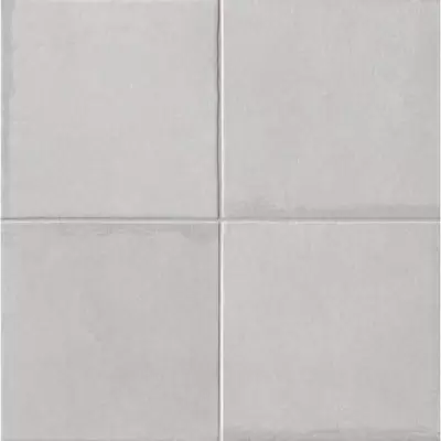 Serenissima Cir Via Emilia Grigio 20x20