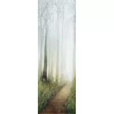 Cotto D’Este Wonderwall Dream B 100x300