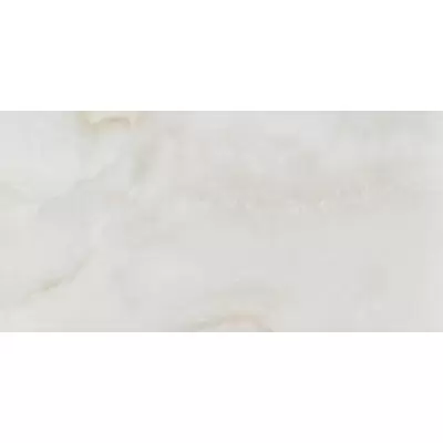 Pamesa Amarna Cr. Shell 60x120