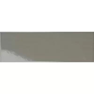 Tonalite Silk 433 Piombo 10x30