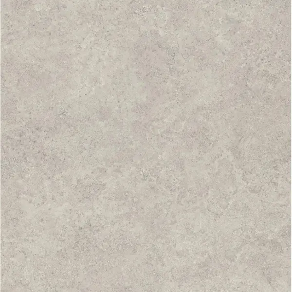 Emil ceramica Landscape EJRM Cenere Silktech 60x60